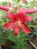 [5578 VH08 Budapest No02.JPG]